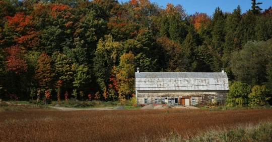house during fall season