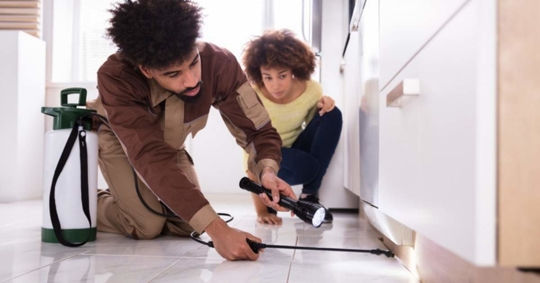 Pest control worker with flashlight spraying pesticide