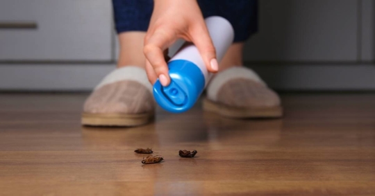 Woman Spraying Insecticide onto Cockroaches