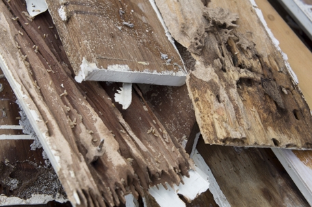 Termite damage rotten wood.