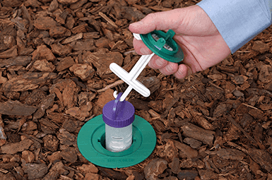 Termite bait station being installed.