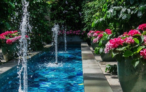 garden with fountain