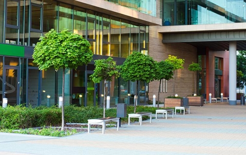 Modern building with trees outside