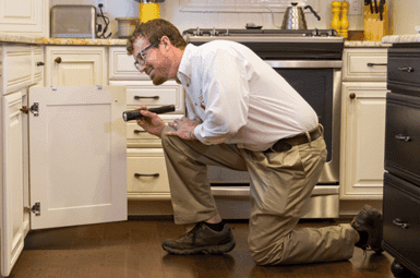 man with a flashlight on one near looking under a kitchen cabinet
